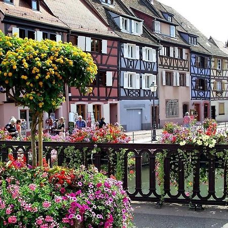 Colmar,Appart Chaleureux 2 Pas Centre Avec Jardin Bagian luar foto