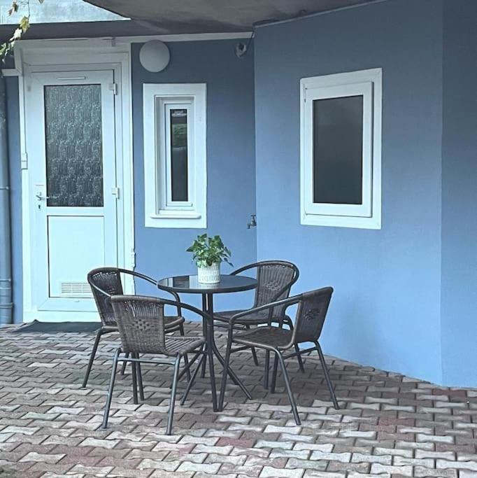 Colmar,Appart Chaleureux 2 Pas Centre Avec Jardin Bagian luar foto