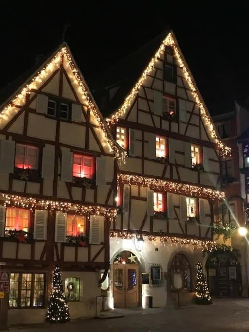 Colmar,Appart Chaleureux 2 Pas Centre Avec Jardin Bagian luar foto