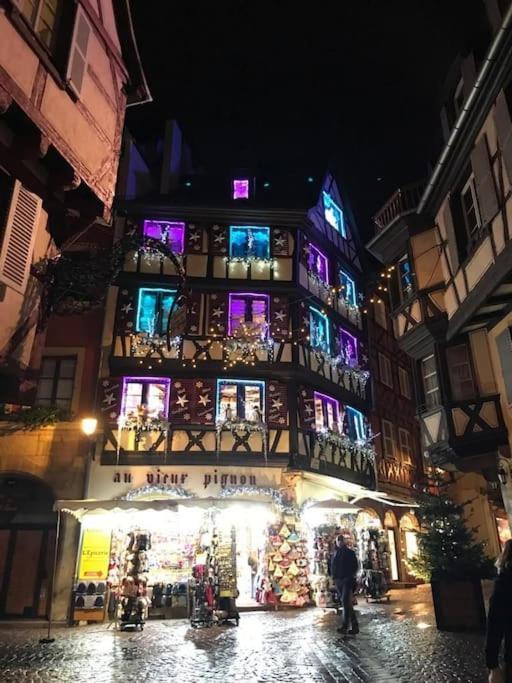 Colmar,Appart Chaleureux 2 Pas Centre Avec Jardin Bagian luar foto
