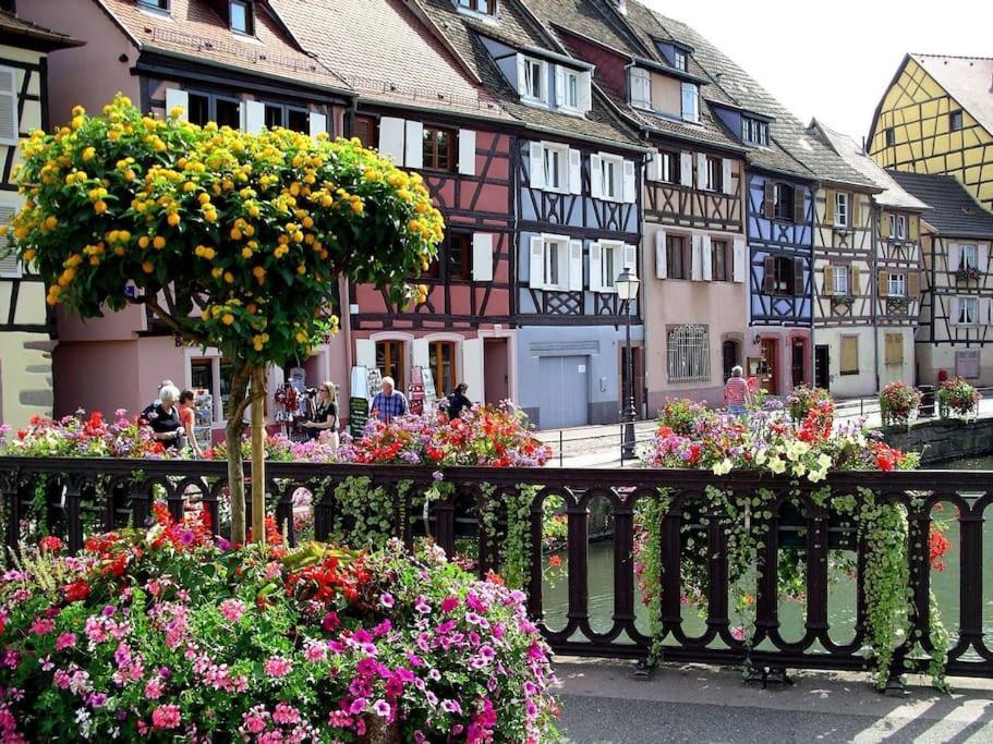 Colmar,Appart Chaleureux 2 Pas Centre Avec Jardin Bagian luar foto